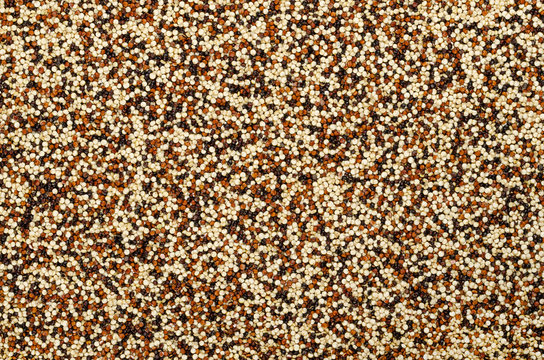 Mixed quinoa seeds, surface and background. Pseudocereal. Yellow, red and black edible fruits of grain crop Chenopodium quinoa, a flowering plant in the Amaranth family. Food photo close up from above