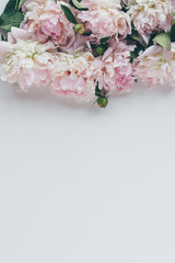 top view of light pink peony flowers on white with copy space