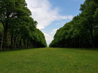 A park walk at Herrenchiemsee Palace