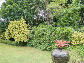 Sri Lanka sightseeing trip