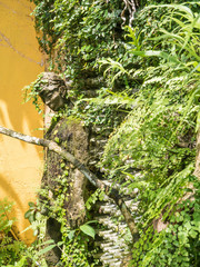 Sri Lanka sightseeing trip