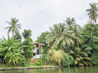 Sri Lanka sightseeing trip