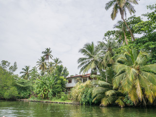 Sri Lanka sightseeing trip