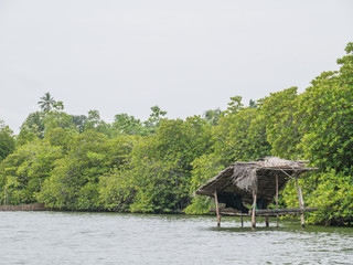 Sri Lanka sightseeing trip