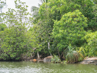 Sri Lanka sightseeing trip