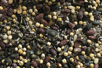 composition of seeds