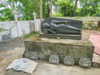 Sri Lanka sightseeing trip