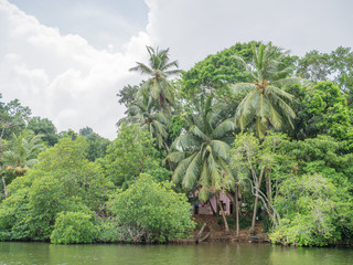 Sri Lanka sightseeing trip