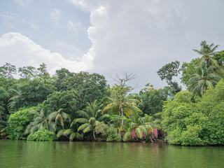 Sri Lanka sightseeing trip