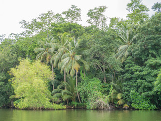 Sri Lanka sightseeing trip