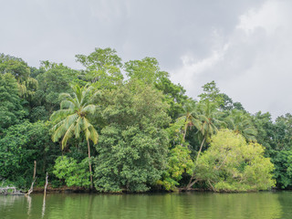 Sri Lanka sightseeing trip