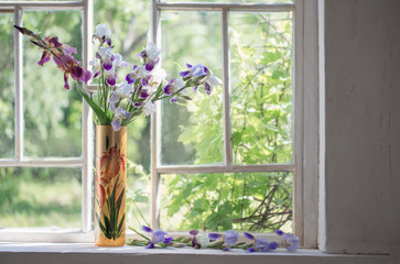 iris in vase on windowsill