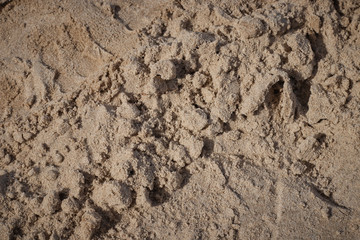 Fototapeta na wymiar Closeup of sand pattern of a beach .