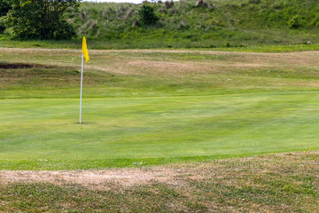 golf pin on green