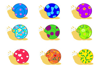 綺麗なカタツムリ