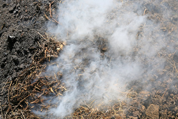Smoke in manufacture of charcoal.