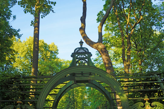 A green wooden gazebo roof in the summer park against the backdrop of juicy green trees and bushes.
