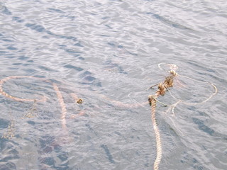 Rope in Water 