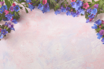 White toned colorful trendy painted pink-lilac textured background with wild forested lungwort on the top.