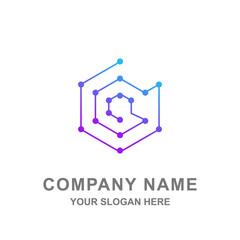 Network Technology Hexagon Logo Vector 