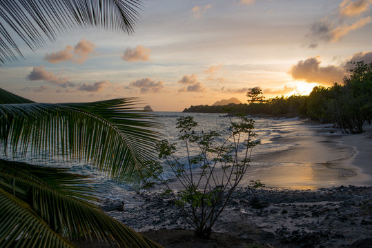 Couch&eacute; de soleil tropical 