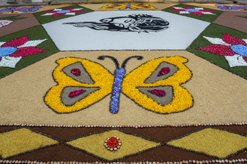 Detalle de alfombra floral del Corpus Christi