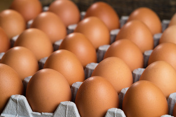 Chicken eggs lie on a substrate for eggs
