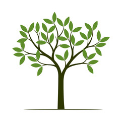 Obraz premium Zielone drzewo wiosny. Ilustracji wektorowych.