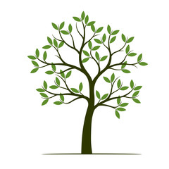 Green Spring Tree. Vector Illustration.