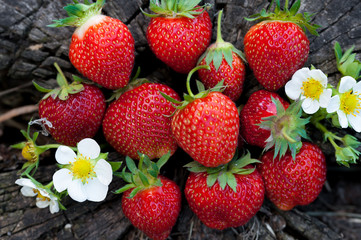 Strawberries lie on a wooden stump, minimalism, in nature. Old dark wood