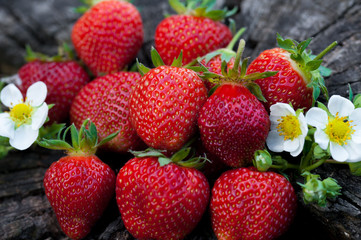 Strawberries lie on a wooden stump, minimalism, in nature. Old dark wood