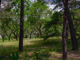Quinta de los Molinos