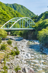 Fototapeta premium 山の中の橋