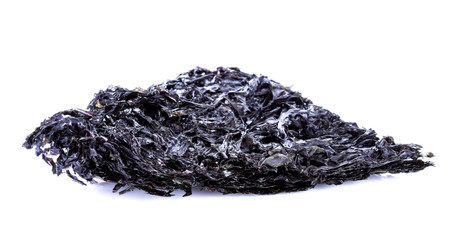 Dried seaweed on white background © Chanwit