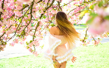 Fototapety  Sakura flower beauty in nature. Womens day with girl in pink cherry blossom. Skincare and summer concept. Sensual woman at blossoming sakura flower in spring. Spring woman in cherry flower bloom
