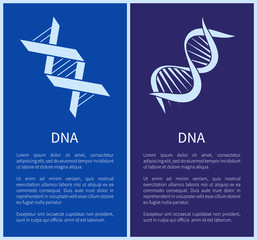 DNA Set of White Spirals Isolated on Blue Backdrop