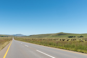 Farm landscape with bales of grass  between Kokstad and Cedarville