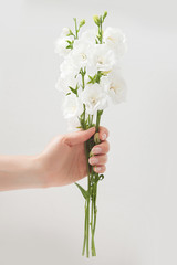 Fototapeta na wymiar Flowers to gift. Beautiful white bells in female hands. Spring time and inspiration