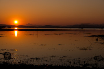 Naklejka premium Sunrise