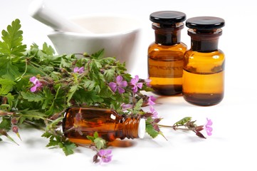 Ruprechtskraut, Tinktur, Naturheilkunde