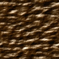 Brown land. Texture land.