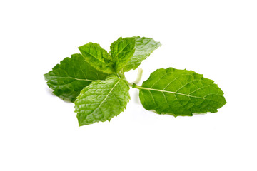 Naklejka na ściany i meble Mint garden, cooking herb Isolated against a white background.