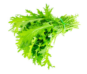 Green leaves of Japanese cabbage mizun