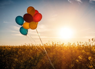 colored balloons over rape firld