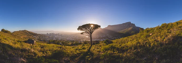 Fotobehang Panorama van de Tafelberg in Kaapstad bij zonsopgang © bradleyvdw