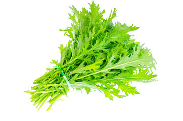 Green leaves of Japanese cabbage mizun