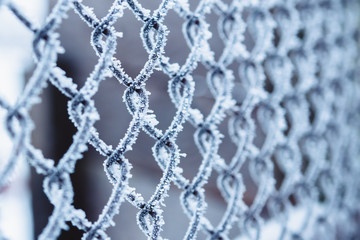 Metal wire-netting covered with frost in winter