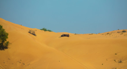 Fototapeta na wymiar landscape of the Arabian sandy desert
