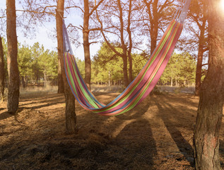 Empty textile hammock hanging between two pines