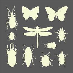 Set of insects silhouettes - beetles, bugs, dragonfly, and butterflies